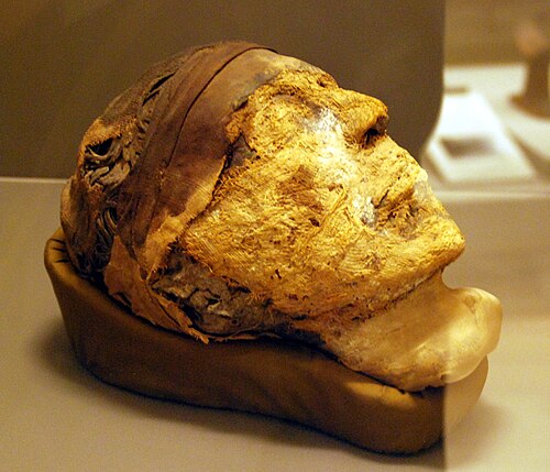The head of the mummy of Djehutynakht