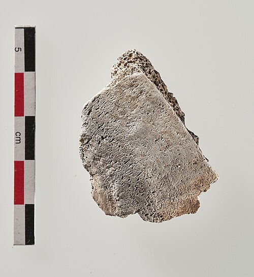 The remains of Loschbour man